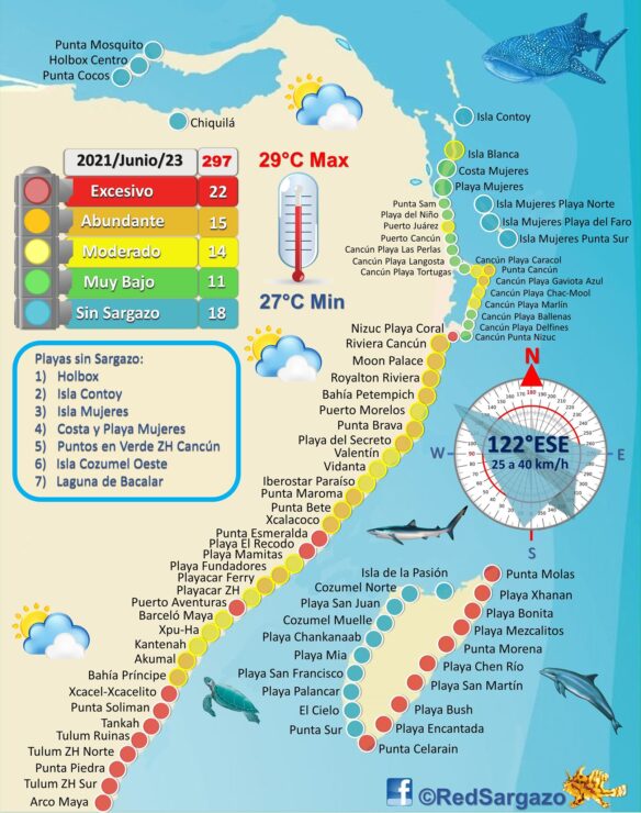 Llegará otro ‘islote’ de sargazo en julio a costas de Quintana Roo; se enfrenta los meses críticos en cuanto al arribo de la macroalga.