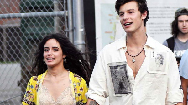 Shawn Mendes abría ejercido violencia domestica contra Camila Cabello  