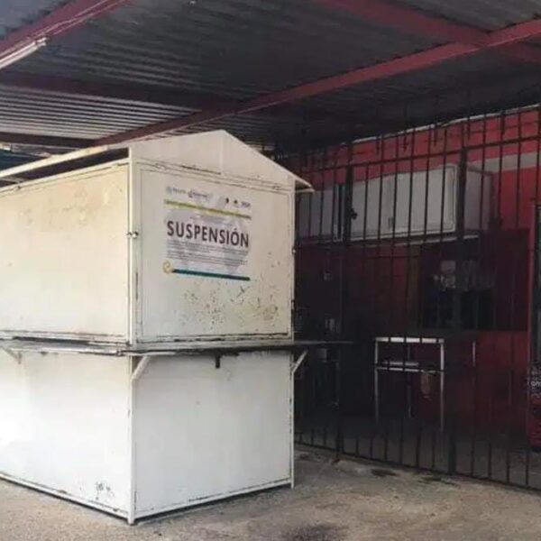 Defienden en redes sociales a taquería de Cancún investigada por carne de perro.