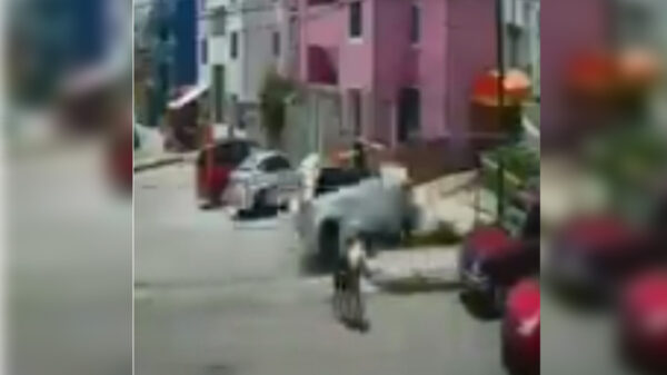 Video: Ebrio arrolla y mata a dos menores sobre una calzada