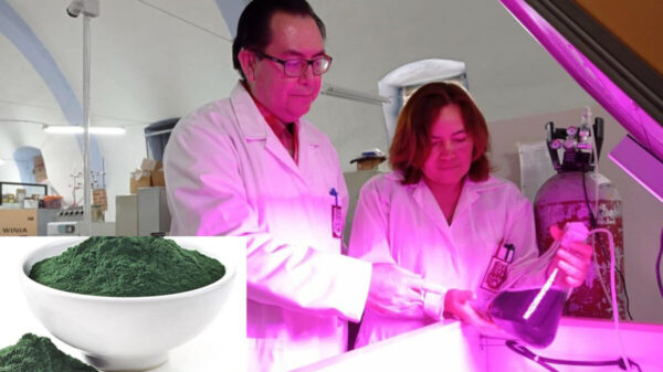 Buscan fortalecer sistema inmune con proteínas de alga Spirulina
