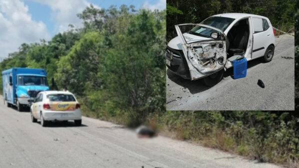 Arrollan y matan a trabajador de periódico en Quintana Roo