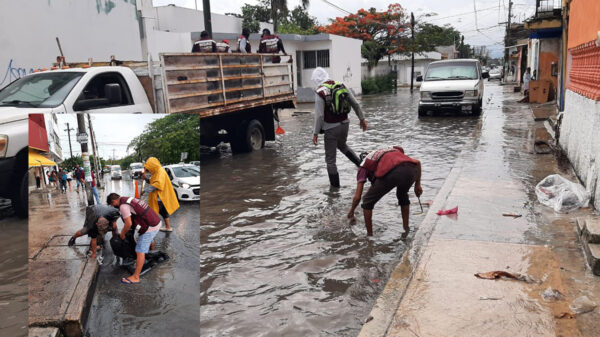 Cancún: Despliega ayuntamiento brigadas de limpieza de pozos pluviales