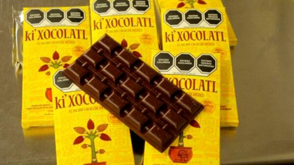 Gana medalla de oro chocolate yucateco catalogado como el mejor del mundo