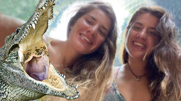 Cocodrilos "se cenan"  a unas turistas inglesas en Oaxaca