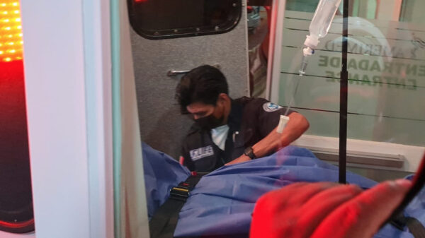 Cancún: Ataca cocodrilo a niño estadounidense en zona hotelera