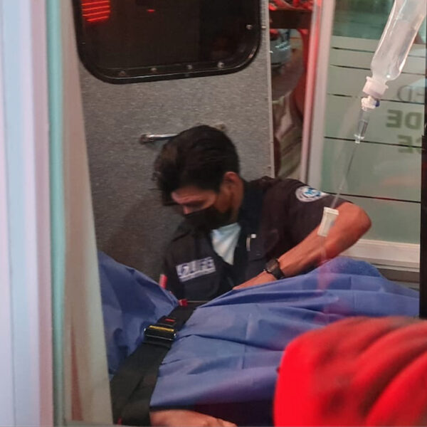 Cancún: Ataca cocodrilo a niño estadounidense en zona hotelera