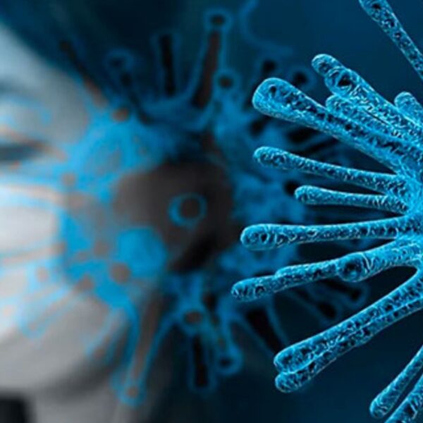 Científicos logran identificar las moléculas que frenan la entrada de Covid a las células