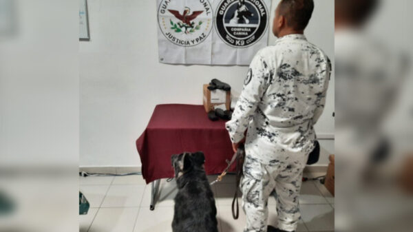 Guardia Nacional decomisa equipo para armas de fuego en paquetería de Cancún
