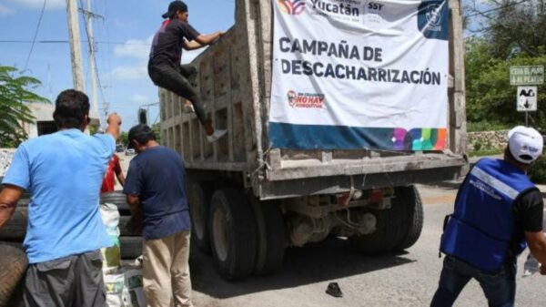 Se aproxima la campaña de descacharrización en Mérida, aquí las fechas