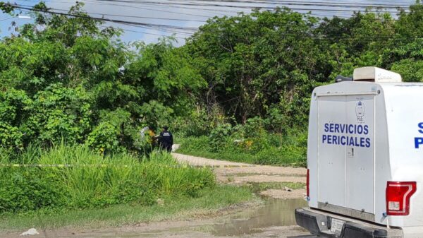 Descubren un cuerpo dentro de bolsas negras, el macabro hallazgo en Cancún