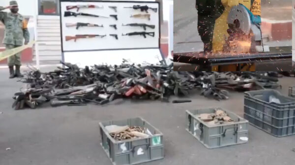 Video: Destruye SEDENA mas de 610 armas decomisadas