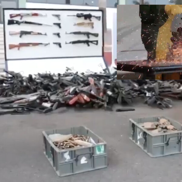 Video: Destruye SEDENA mas de 610 armas decomisadas