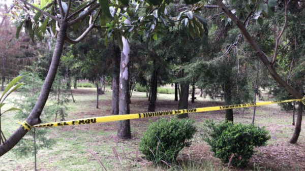 Dos adolescentes se suicidan colgándose del mismo árbol en Puebla
