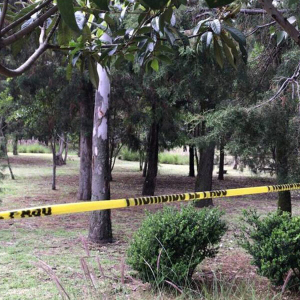 Dos adolescentes se suicidan colgándose del mismo árbol en Puebla