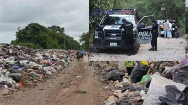 Descubren feto entre la basura de vertedero de Cancún