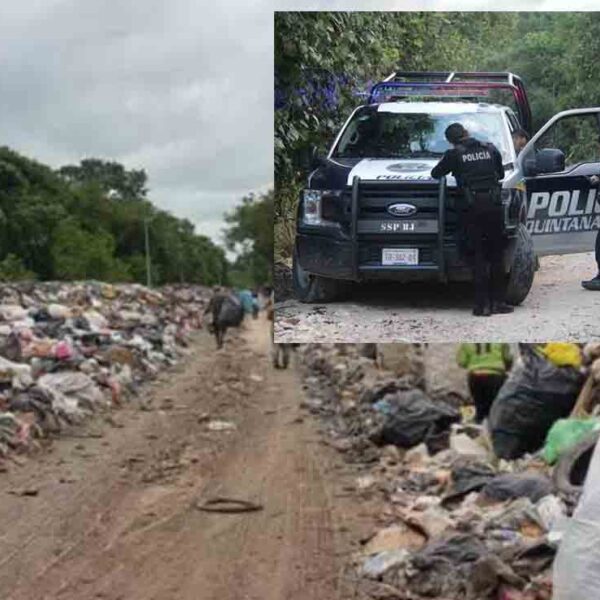 Descubren feto entre la basura de vertedero de Cancún