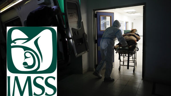 Desmiente el IMSS llegada del temido "hongo negro" a México