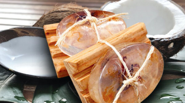 Empresa realiza jabones artesanales de sargazo con mano de obra maya