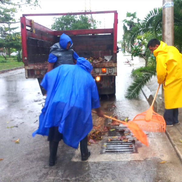 Activan en Puerto Morelos brigadas por afectaciones pluviales