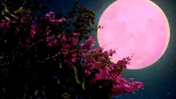 Este jueves 24 de junio no te pierdas la Luna de Fresa