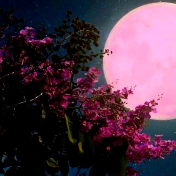 Este jueves 24 de junio no te pierdas la Luna de Fresa