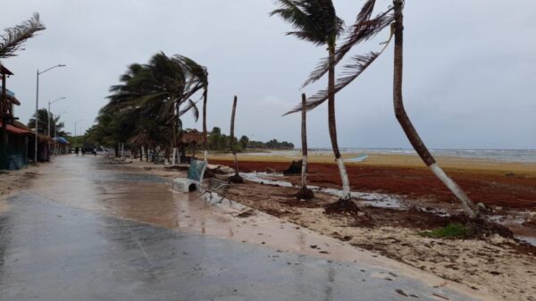 Mahahual: Piden declaratoria de emergencia por el sargazo.