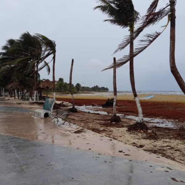 Mahahual: Piden declaratoria de emergencia por el sargazo.
