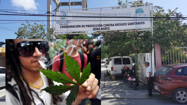 Solo una persona en Quintana Roo está autorizada para consumir mariguana