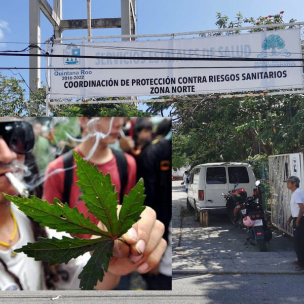 Solo una persona en Quintana Roo está autorizada para consumir mariguana