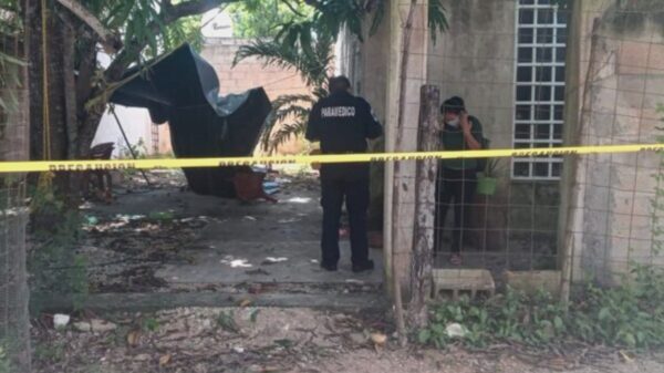 Hombre de 32 años muere tras caer de un árbol de 10 metros de altura en Valladolid