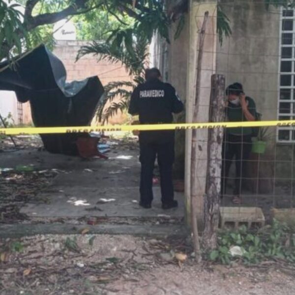 Hombre de 32 años muere tras caer de un árbol de 10 metros de altura en Valladolid