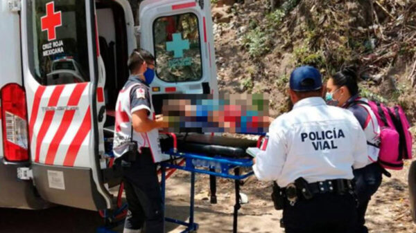 En Hidalgo, muere niña y sus dos mascotas por presunto envenenamiento