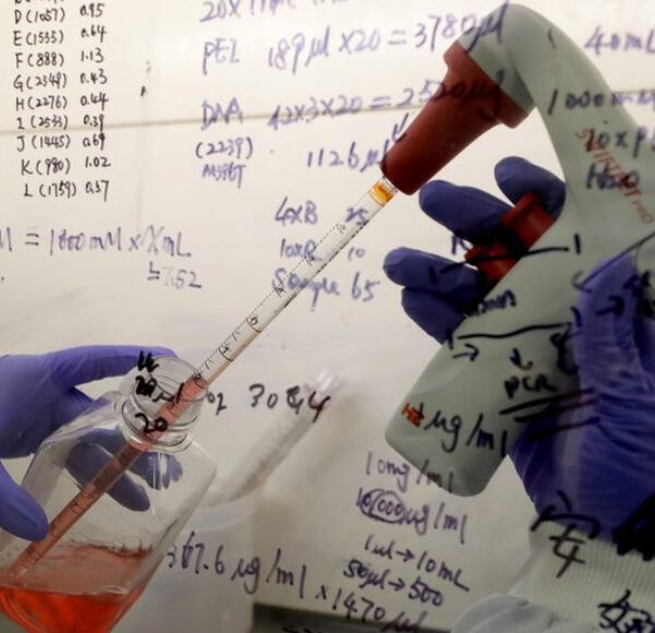 Acelera EU desarrollo de píldoras anti Covid-19