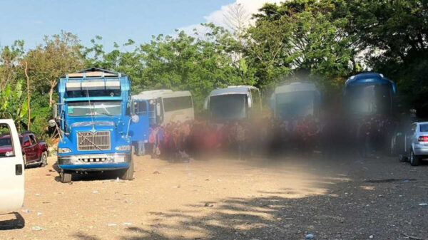 Tras cateo, autoridades rescatan a 194 migrantes en Chiapas