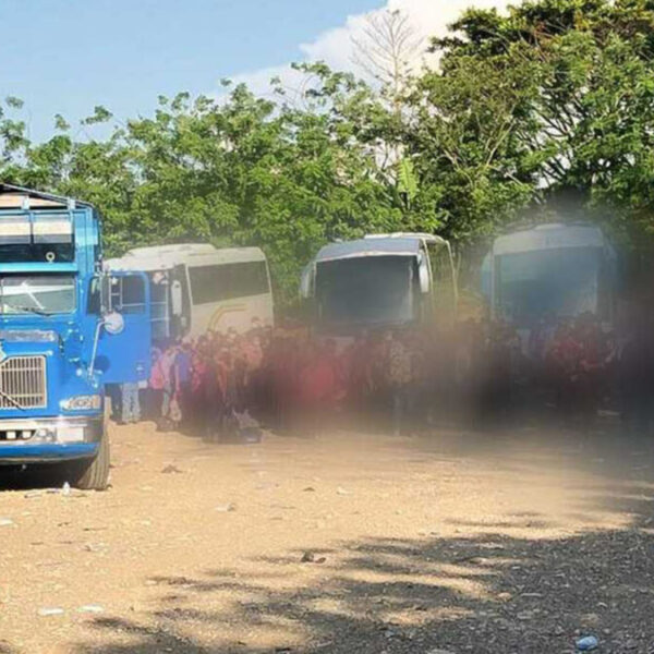 Tras cateo, autoridades rescatan a 194 migrantes en Chiapas