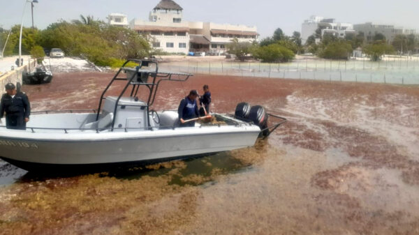Instalarán mesas de trabajo por crisis por sargazo en Quintana Roo