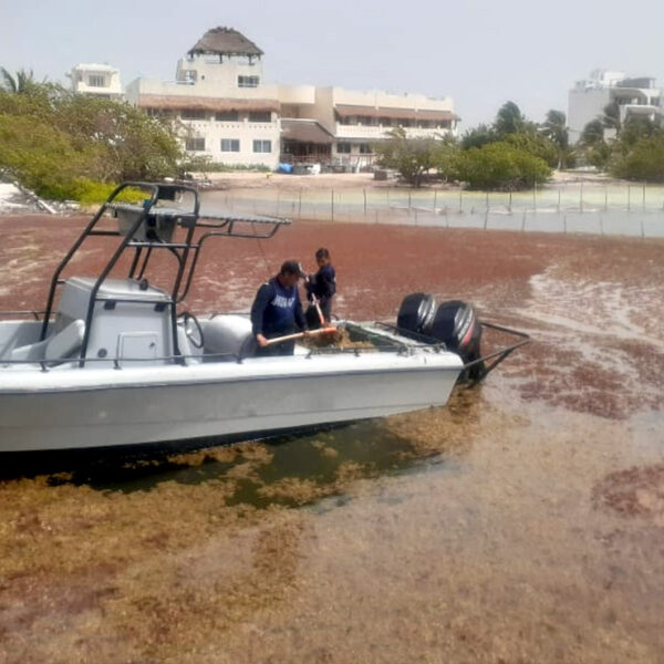 Instalarán mesas de trabajo por crisis por sargazo en Quintana Roo