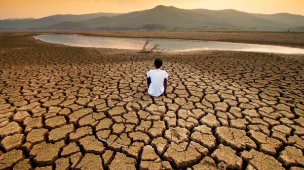 Video: Sequía, la pandemia que viene, advierte la ONU