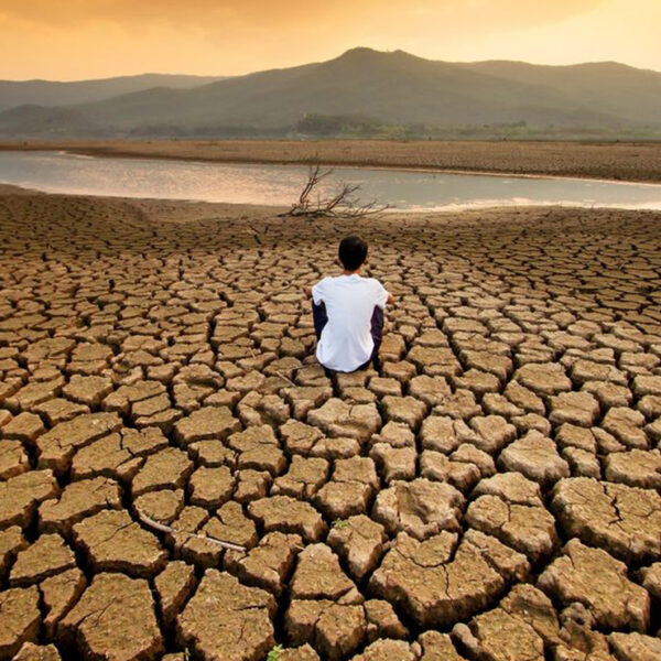 Video: Sequía, la pandemia que viene, advierte la ONU