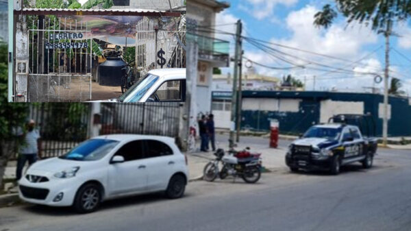 Cancún: Descubren cadáver con signos de tortura en la región 231