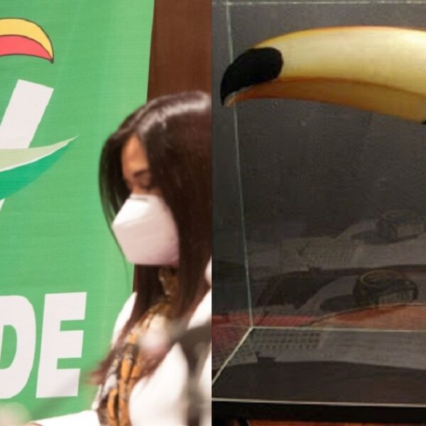 Desplumaría INE al “tucán”, quitarían registro por caso de “influencers”