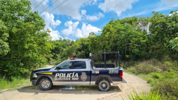 Cancún: Localizan un cuerpo encintado por el rumbo de Alejandría.