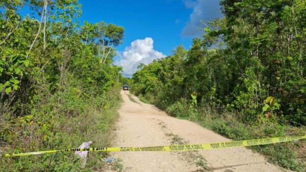 Cancún: Hallan cuerpos sin vida en Tres Reyes (video)