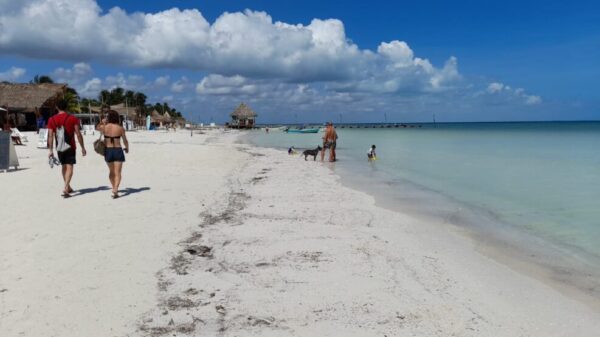 No hay problemas de sargazo en la isla de Holbox.