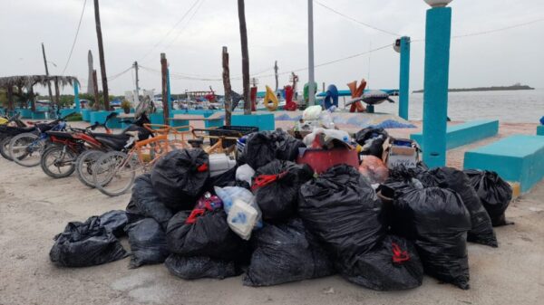 Trabajan para evitar una crisis sanitaria por la basura en Holbox.