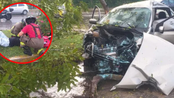Cancún: Choca y derriba poste y un árbol en la avenida Kabah.