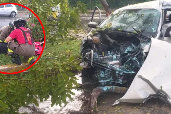Cancún: Choca y derriba poste y un árbol en la avenida Kabah.