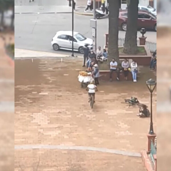 La embestida de un ciclista a un puesto ambulante quedó grabado en video y se populariza en redes sociales