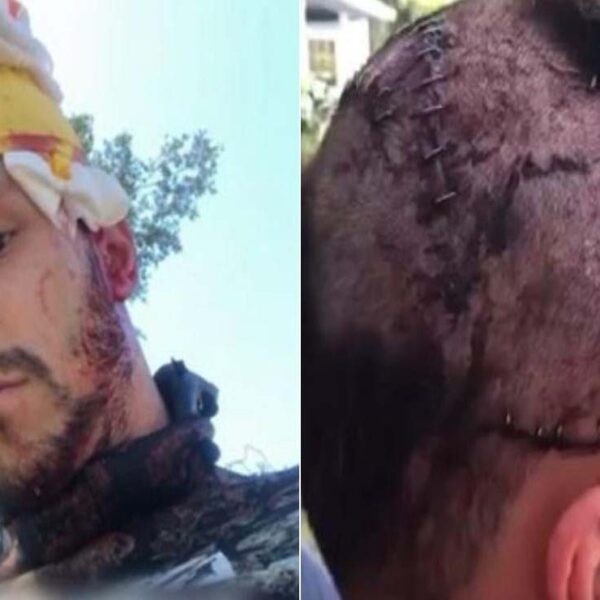 Un cocodrilo de tres metros de largo atacó a un buzo en el río Mayakka y pese a que le mordió la cabeza logró sobrevivir